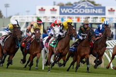 Horse racing is coming soon to ontario sportsbooks