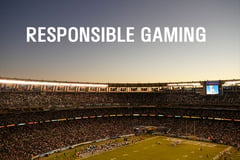 Nfl launches responsible gaming program kayxqz